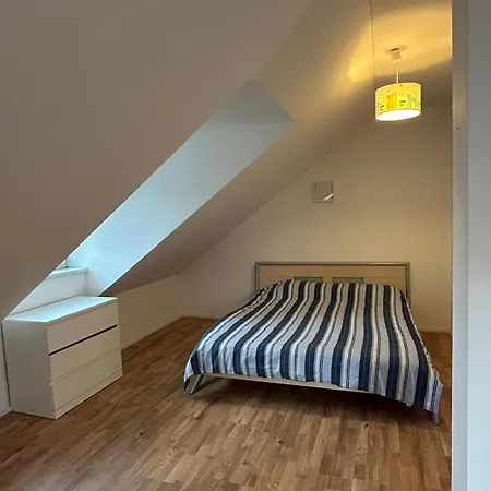 Helles, Geraeumiges Haus In Muenchen-solln Prázdninový dům